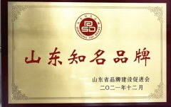 公司“紡衛(wèi)職業(yè)裝”榮獲“山東知名品牌”稱號